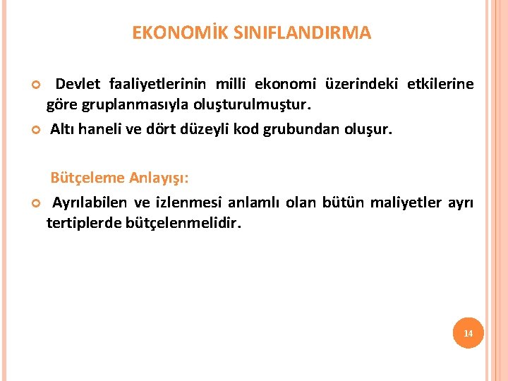 EKONOMİK SINIFLANDIRMA Devlet faaliyetlerinin milli ekonomi üzerindeki etkilerine göre gruplanmasıyla oluşturulmuştur. Altı haneli ve