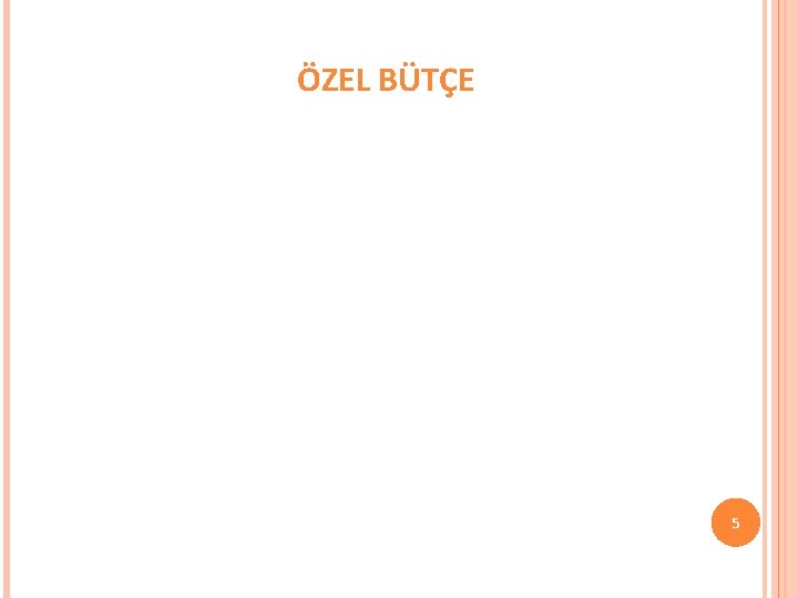 ÖZEL BÜTÇE 5 