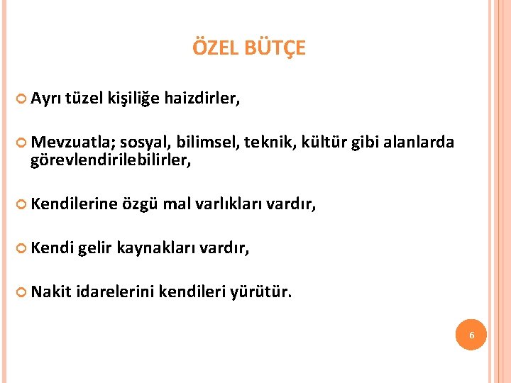 ÖZEL BÜTÇE Ayrı tüzel kişiliğe haizdirler, Mevzuatla; sosyal, bilimsel, teknik, kültür gibi alanlarda görevlendirilebilirler,