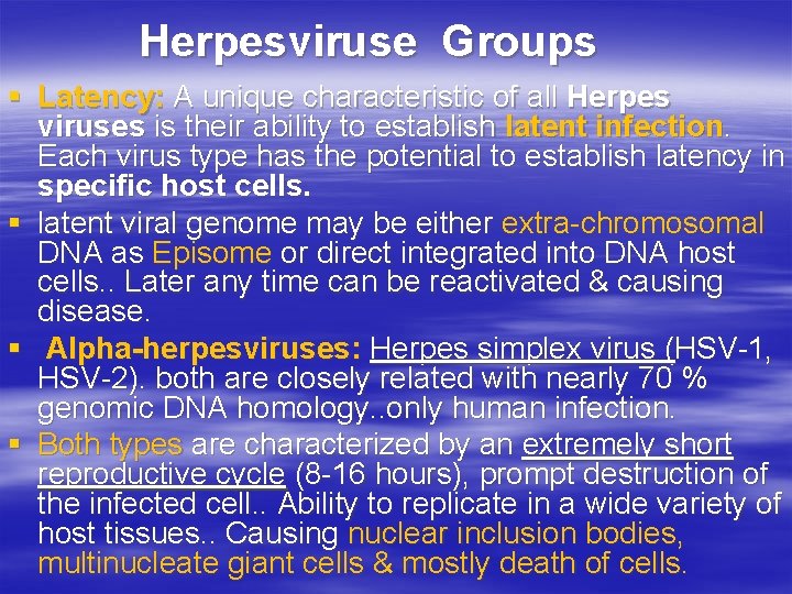 Herpesviruse Groups § Latency: A unique characteristic of all Herpes viruses is their ability