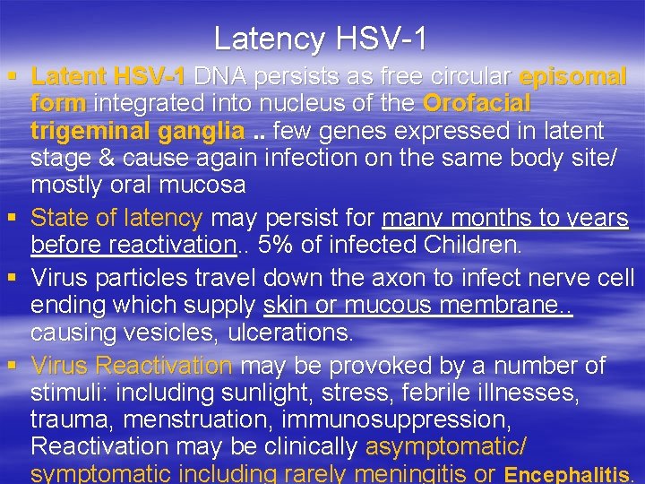 Latency HSV-1 § Latent HSV-1 DNA persists as free circular episomal form integrated into