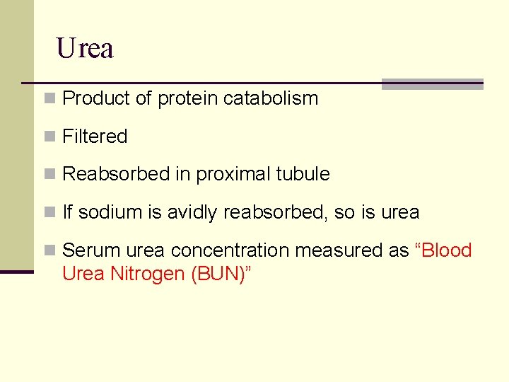 Urea n Product of protein catabolism n Filtered n Reabsorbed in proximal tubule n