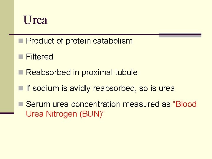 Urea n Product of protein catabolism n Filtered n Reabsorbed in proximal tubule n