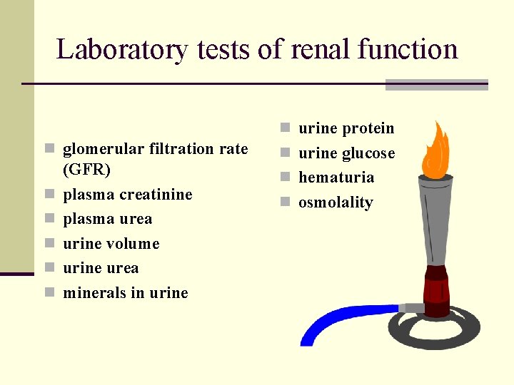 Laboratory tests of renal function n urine protein n glomerular filtration rate n n
