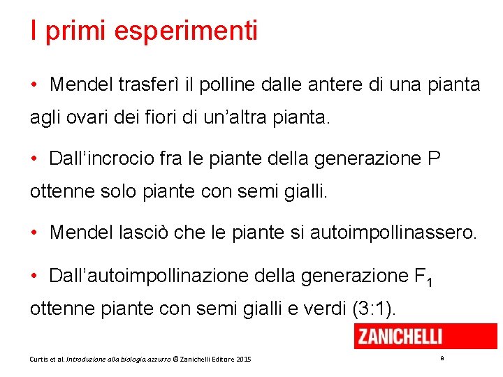 I primi esperimenti • Mendel trasferì il polline dalle antere di una pianta agli