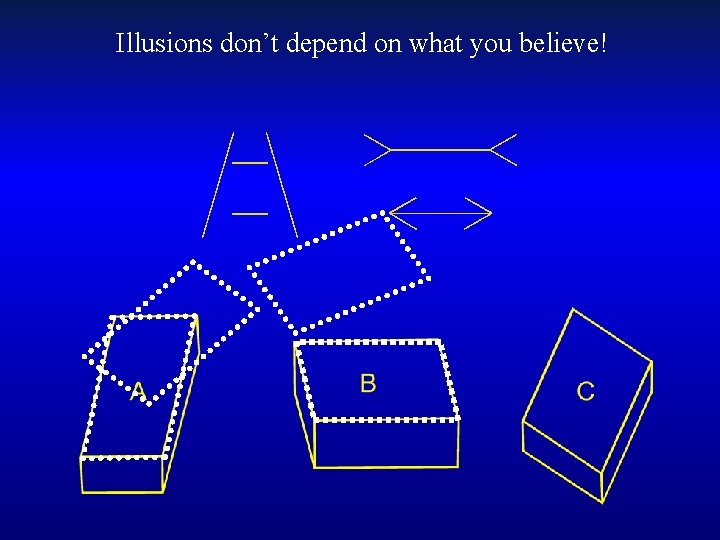 Illusions don’t depend on what you believe! 