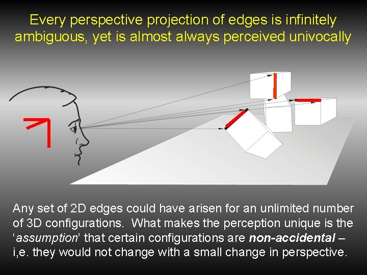 Every perspective projection of edges is infinitely ambiguous, yet is almost always perceived univocally