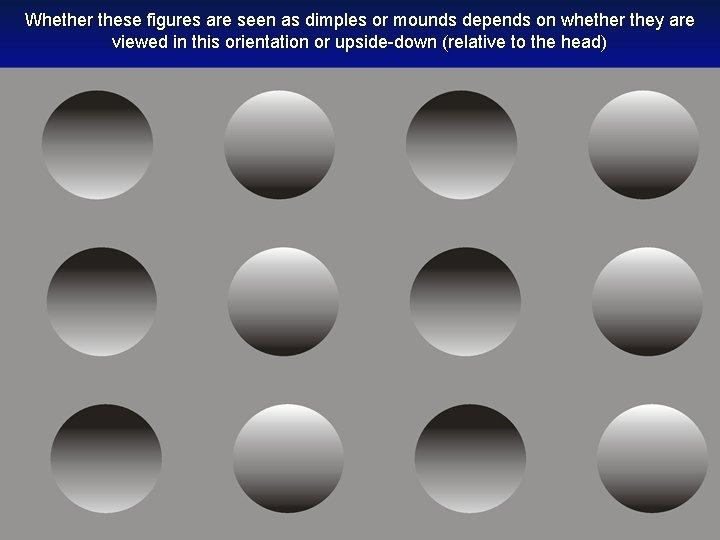 Whether these figures are seen as dimples or mounds depends on whether they are