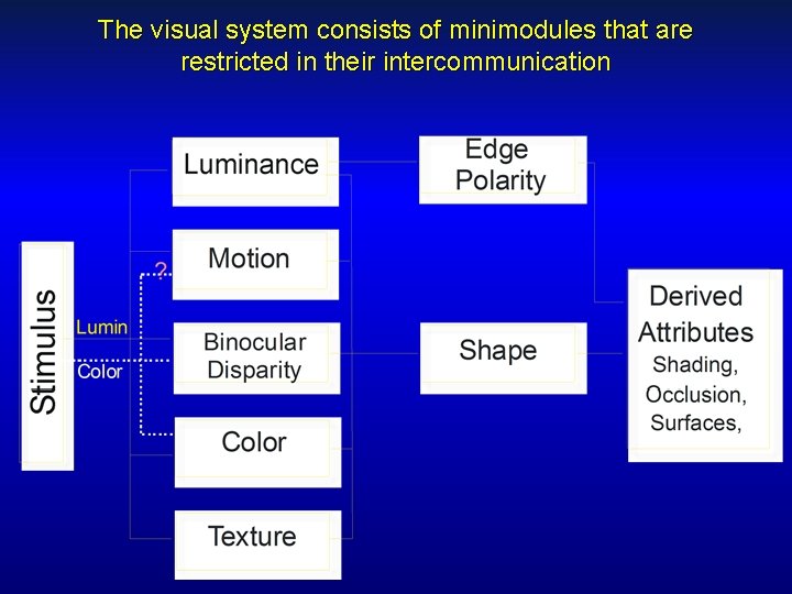 The visual system consists of minimodules that are restricted in their intercommunication 