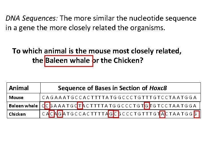 DNA Sequences: The more similar the nucleotide sequence in a gene the more closely