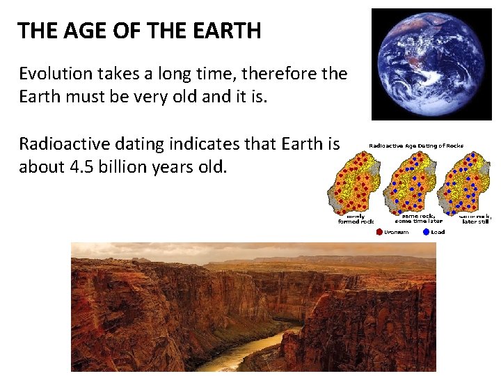 THE AGE OF THE EARTH Evolution takes a long time, therefore the Earth must
