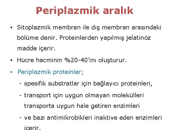 Periplazmik aralık • Sitoplazmik membran ile dış membran arasındaki bölüme denir. Proteinlerden yapılmış jelatinöz