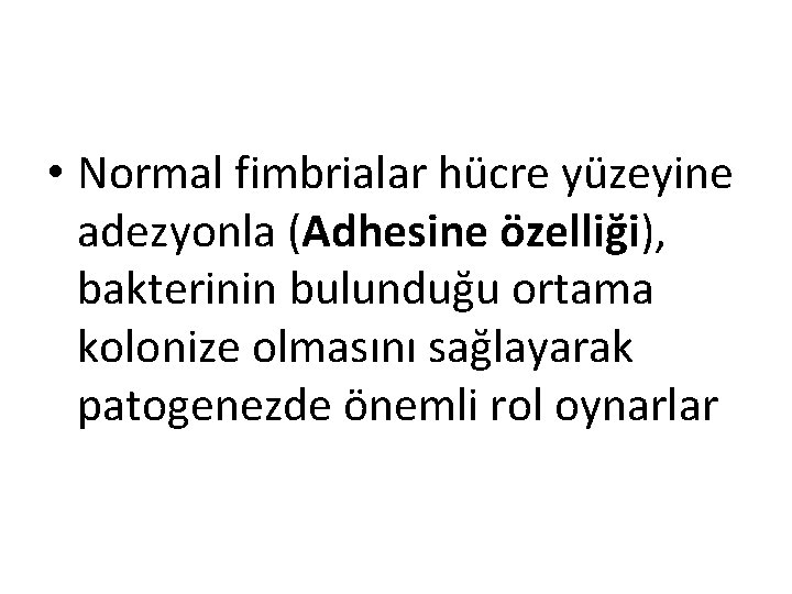  • Normal fimbrialar hücre yüzeyine adezyonla (Adhesine özelliği), bakterinin bulunduğu ortama kolonize olmasını