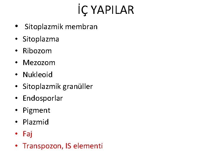 İÇ YAPILAR • Sitoplazmik membran • • • Sitoplazma Ribozom Mezozom Nukleoid Sitoplazmik granüller
