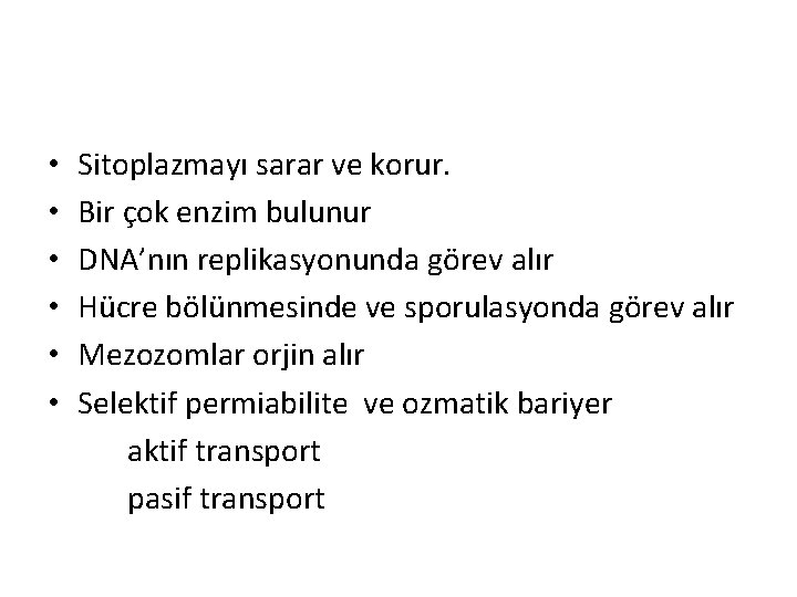  • • • Sitoplazmayı sarar ve korur. Bir çok enzim bulunur DNA’nın replikasyonunda