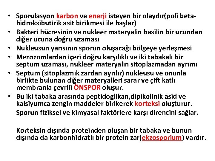  • Sporulasyon karbon ve enerji isteyen bir olaydır(poli betahidroksibutirik asit birikmesi ile başlar)