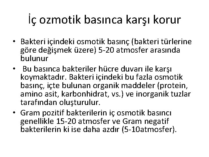 İç ozmotik basınca karşı korur • Bakteri içindeki osmotik basınç (bakteri türlerine göre değişmek