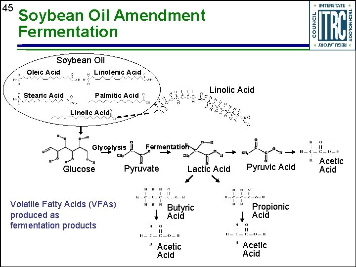 45 Soybean Oil Amendment Fermentation Soybean Oil Oleic Acid Linolenic Acid Stearic Acid Palmitic