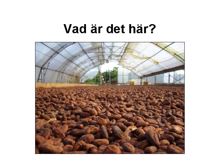 Vad är det här? 