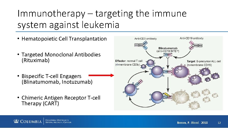 Immunotherapy – targeting the immune system against leukemia • Hematopoietic Cell Transplantation • Targeted