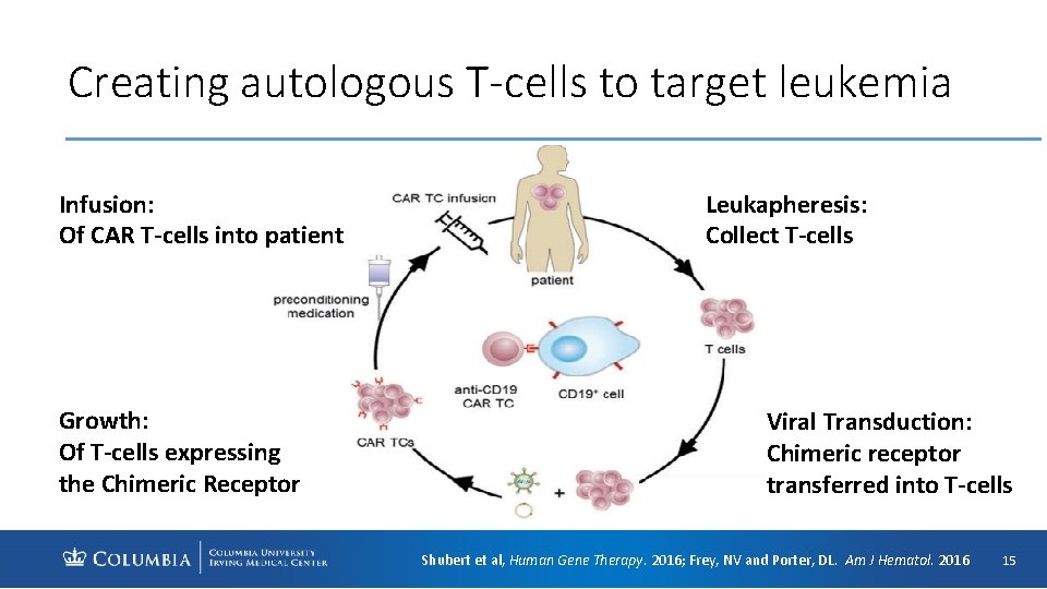 Creating autologous T-cells to target leukemia Infusion: Of CAR T-cells into patient Growth: Of