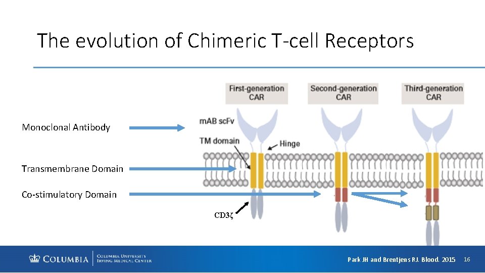 The evolution of Chimeric T-cell Receptors Monoclonal Antibody Transmembrane Domain Co-stimulatory Domain CD 3ζ