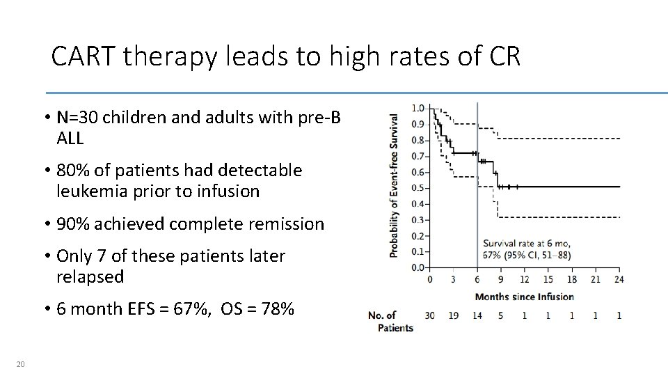 CART therapy leads to high rates of CR • N=30 children and adults with