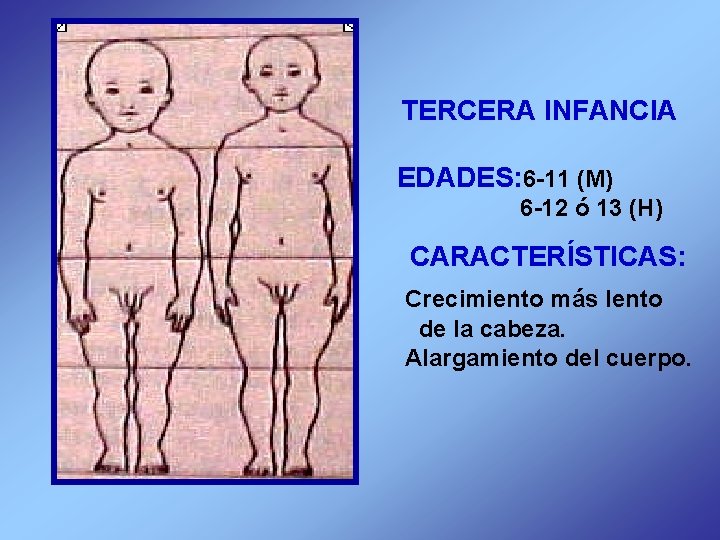  TERCERA INFANCIA EDADES: 6 -11 (M) 6 -12 ó 13 (H) CARACTERÍSTICAS: Crecimiento