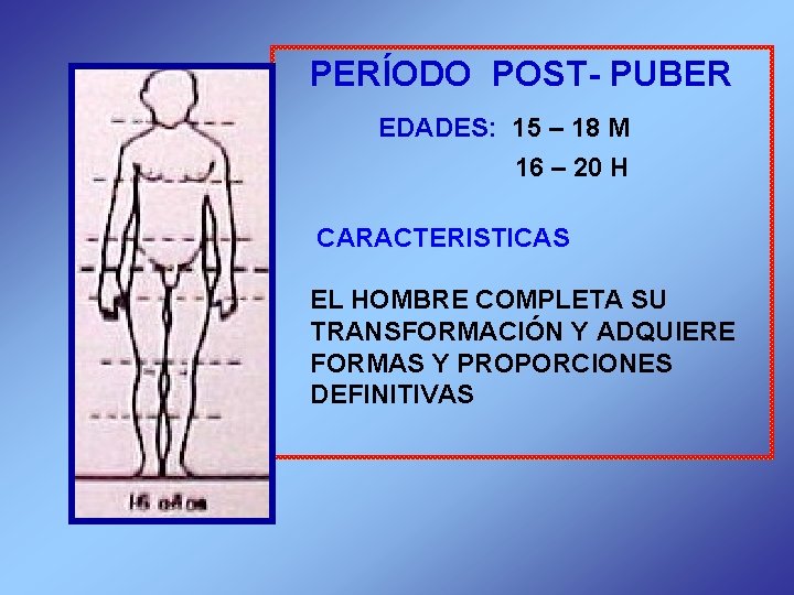  PERÍODO POST- PUBER EDADES: 15 – 18 M 16 – 20 H CARACTERISTICAS