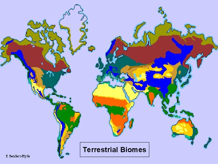 Terrestrial Biomes 