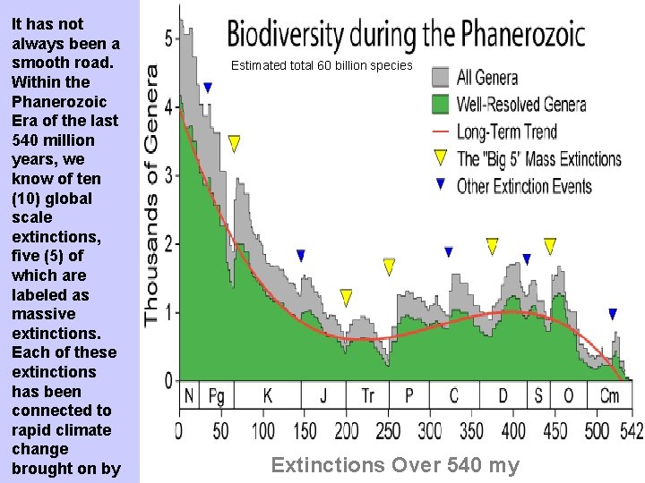 It has not always been a smooth road. Within the Phanerozoic Era of the