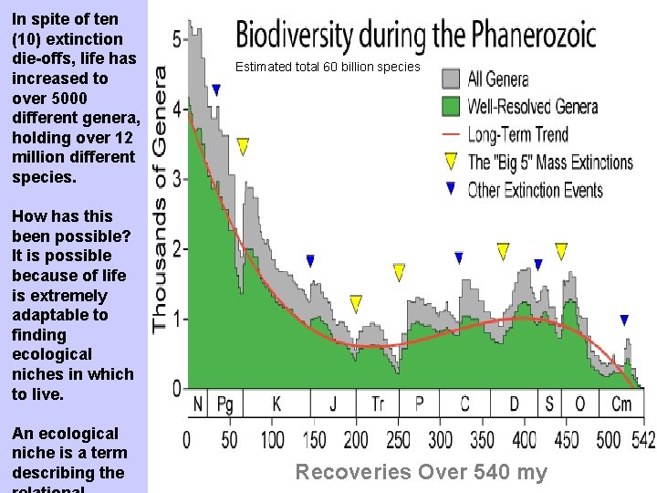 In spite of ten (10) extinction die-offs, life has increased to over 5000 different