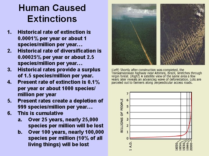 Human Caused Extinctions 1. 2. 3. 4. 5. 6. Historical rate of extinction is
