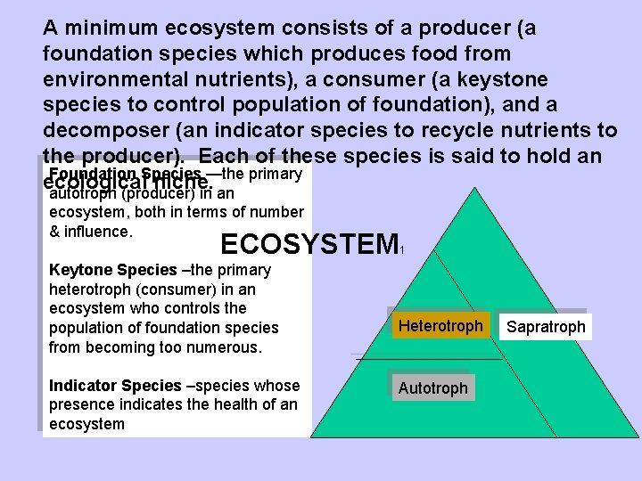 A minimum ecosystem consists of a producer (a foundation species which produces food from