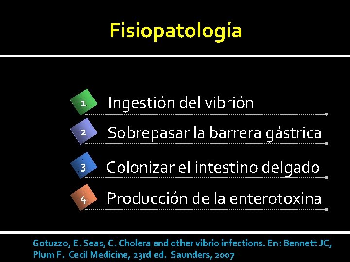 Fisiopatología 1 Ingestión del vibrión 2 Sobrepasar la barrera gástrica 3 Colonizar el intestino