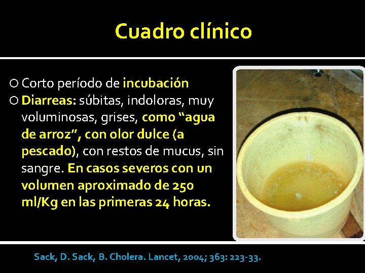 Cuadro clínico Corto período de incubación Diarreas: súbitas, indoloras, muy voluminosas, grises, como “agua