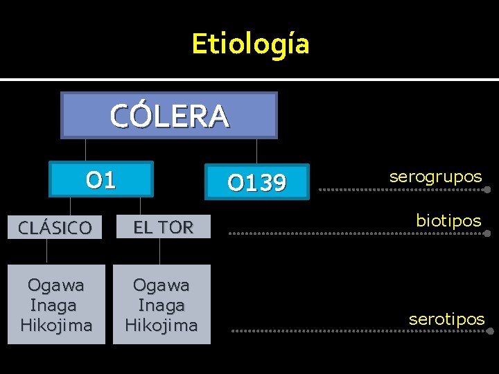 Etiología CÓLERA O 139 CLÁSICO EL TOR Ogawa Inaga Hikojima serogrupos biotipos serotipos 