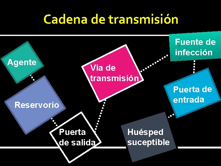 Cadena de transmisión Fuente de infección Agente Vía de transmisión Puerta de entrada Reservorio