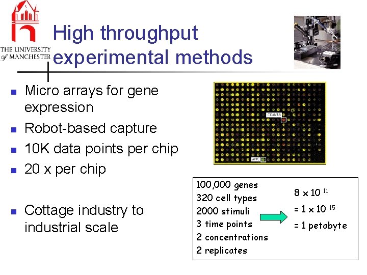 High throughput experimental methods n n n Micro arrays for gene expression Robot-based capture