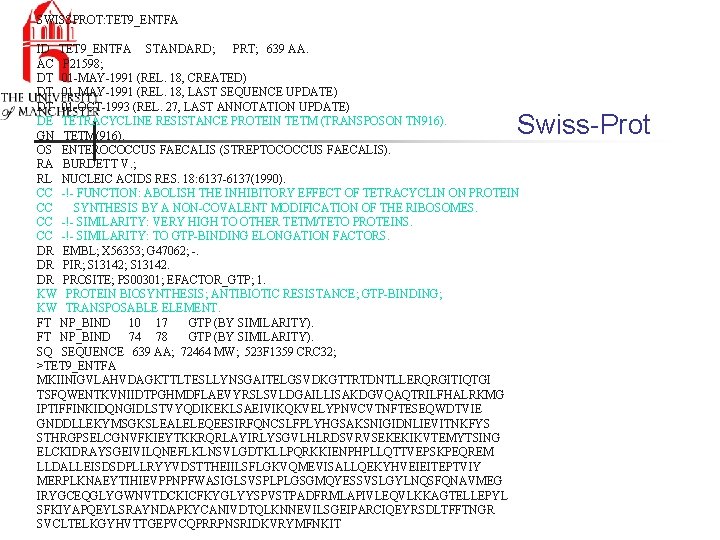 SWISSPROT: TET 9_ENTFA ID TET 9_ENTFA STANDARD; PRT; 639 AA. AC P 21598; DT