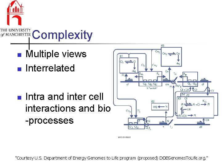 Complexity n n n Multiple views Interrelated Intra and inter cell interactions and bio