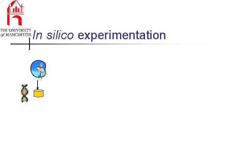 In silico experimentation 