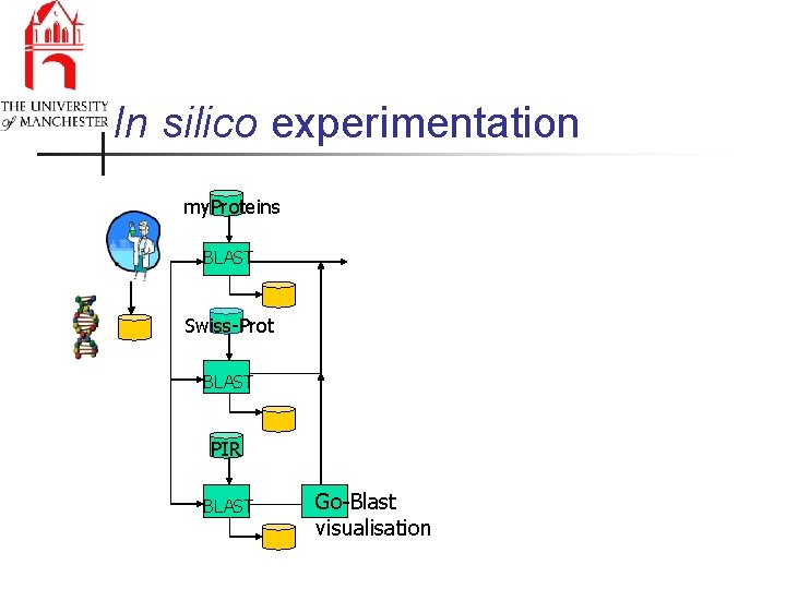 In silico experimentation my. Proteins BLAST Swiss-Prot BLAST PIR BLAST Go-Blast visualisation 