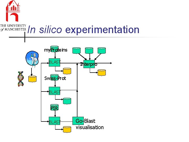 In silico experimentation my. Proteins BLAST Interpro Swiss-Prot BLAST PIR BLAST Go-Blast visualisation 