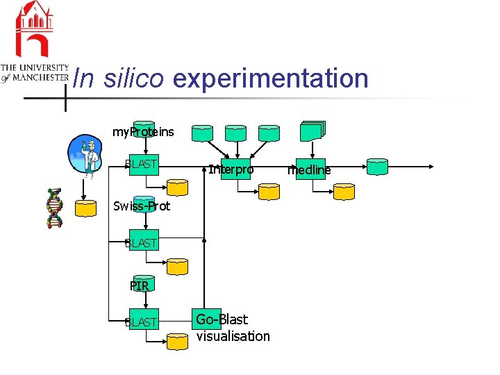 In silico experimentation my. Proteins BLAST Interpro Swiss-Prot BLAST PIR BLAST Go-Blast visualisation medline