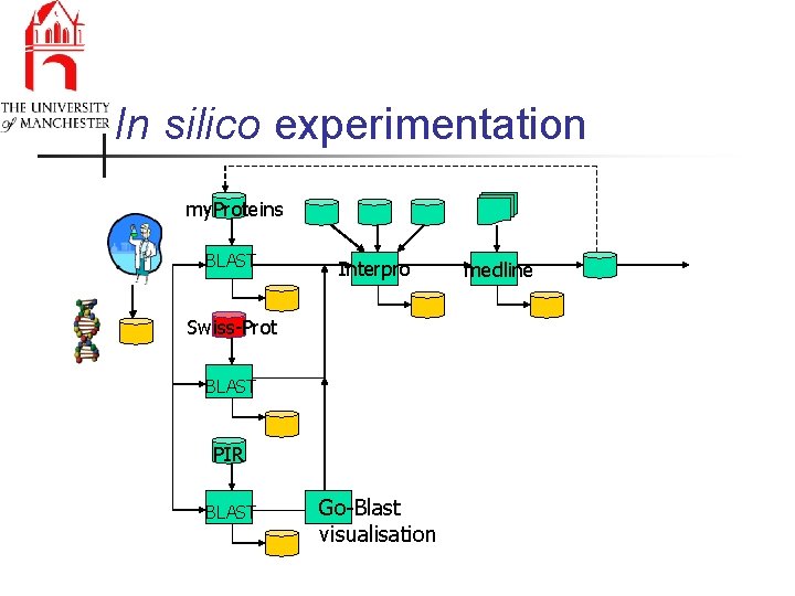 In silico experimentation my. Proteins BLAST Interpro Swiss-Prot BLAST PIR BLAST Go-Blast visualisation medline