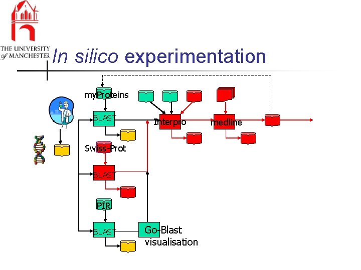 In silico experimentation my. Proteins BLAST Interpro Swiss-Prot BLAST PIR BLAST Go-Blast visualisation medline
