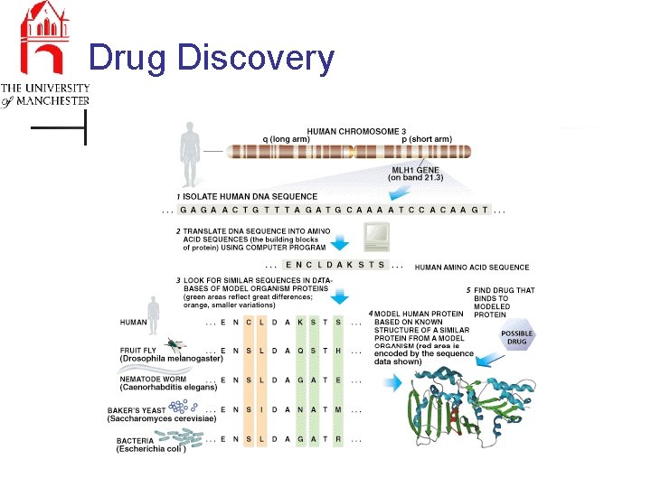 Drug Discovery 