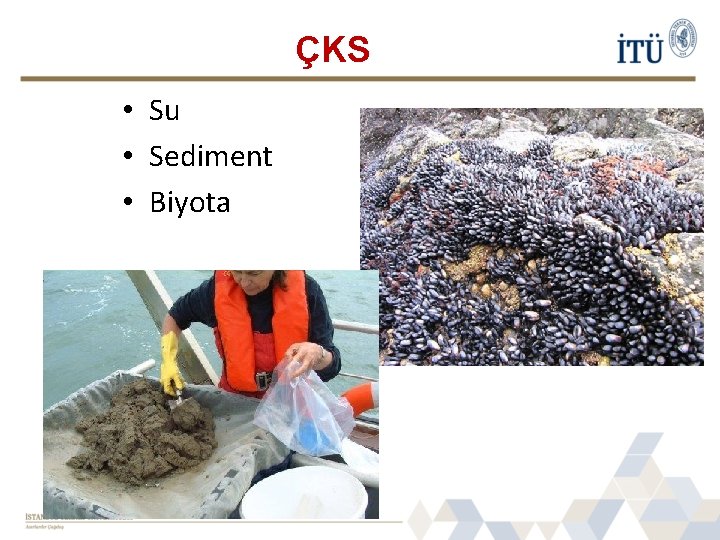 ÇKS • Su • Sediment • Biyota 