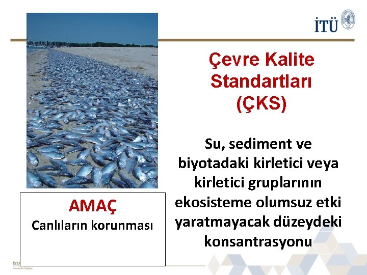 Çevre Kalite Standartları (ÇKS) AMAÇ Canlıların korunması Su, sediment ve biyotadaki kirletici veya kirletici